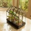 House Terrarium -KANG Plants Shop pr2000031475