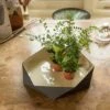 Enamelled Geo Metal Plant Tray -KANG Plants Shop pr2000031479