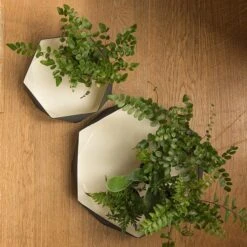 Enamelled Geo Metal Plant Tray -KANG Plants Shop pr2000031479 card2 lg