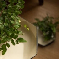 Enamelled Geo Metal Plant Tray -KANG Plants Shop pr2000031479 card3 lg