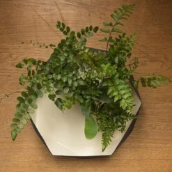 Enamelled Geo Metal Plant Tray -KANG Plants Shop pr2000031479 card4 lg