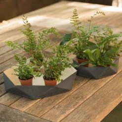 Enamelled Geo Metal Plant Tray -KANG Plants Shop pr2000031479 card5 lg