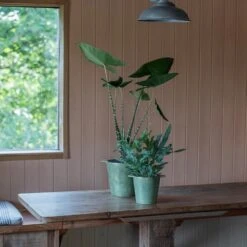 Cast Aluminium Pot Cover With Verdigris Patina -KANG Plants Shop pr2000031480 card5 lg