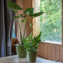 Cast Aluminium Pot Cover With Verdigris Patina -KANG Plants Shop pr2000031480 card6 lg