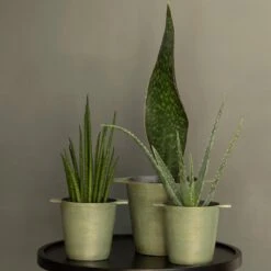 Cast Aluminium Pot Cover With Verdigris Patina -KANG Plants Shop pr2000031480 card8 lg