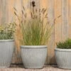Zinc Dolly Pot -KANG Plants Shop pr2000031492
