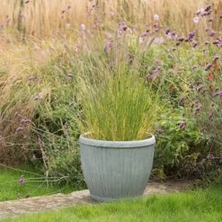 Zinc Dolly Pot 12 Zinc Dolly Pot -KANG Plants Shop pr2000031492 card3 lg