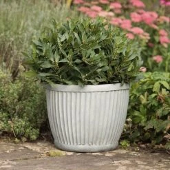 Zinc Dolly Pot 13 Zinc Dolly Pot -KANG Plants Shop pr2000031492 card4 lg