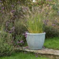 Zinc Dolly Pot 15 Zinc Dolly Pot -KANG Plants Shop pr2000031492 card6 lg