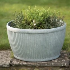 Zinc Dolly Bowl 9 Zinc Dolly Bowl -KANG Plants Shop pr2000031493 card3 lg