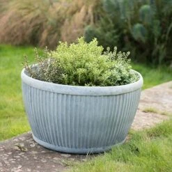Zinc Dolly Bowl 10 Zinc Dolly Bowl -KANG Plants Shop pr2000031493 card4 lg