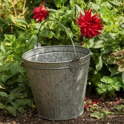 Galvanised Bucket 11 Galvanised Bucket -KANG Plants Shop pr2000031498 card4 lg