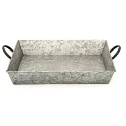 Galvanised Rectangular Tray With Blackened Handles -KANG Plants Shop pr2000031499 card2 lg