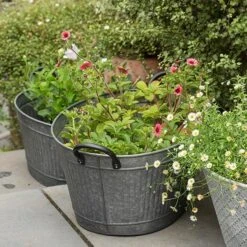 Oval Tub With Handles/drinks Cooler -KANG Plants Shop pr2000031502 card3 lg