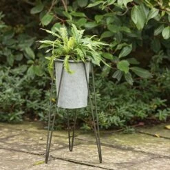 Tall Galvanised Planter With Stand 8 Tall Galvanised Planter With Stand -KANG Plants Shop pr2000031504 card3 lg