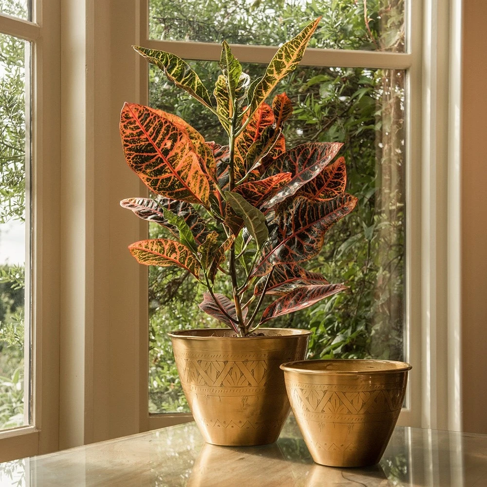 Solid Etched Brass Pot Cover 10 Solid Etched Brass Pot Cover - Image 8