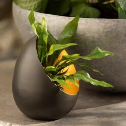 Angled Tealight Holder 14 Angled Tealight Holder -KANG Plants Shop pr2000031512 card7 lg