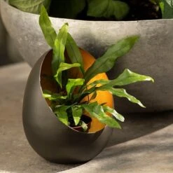 Angled Tealight Holder 15 Angled Tealight Holder -KANG Plants Shop pr2000031512 card8 lg