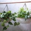 Abari Round Hanging Planter