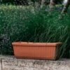 Ribbed Italian Terracotta Trough -KANG Plants Shop pr2000031981