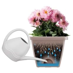 Barcelona All In One Trough Anthracite -KANG Plants Shop pr2000032240 card3 lg