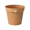 Basic Growpot Terracotta 2 Basic Growpot Terracotta -KANG Plants Shop pr2000032277