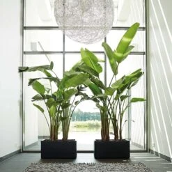 Pure Soft Brick Long Wheels Anthracite -KANG Plants Shop pr2000032307 card2 lg