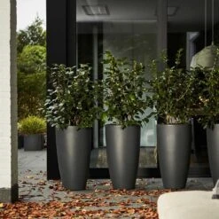 Pure Soft Round High Pot Anthracite 6 Pure Soft Round High Pot Anthracite -KANG Plants Shop pr2000032308 card2 lg