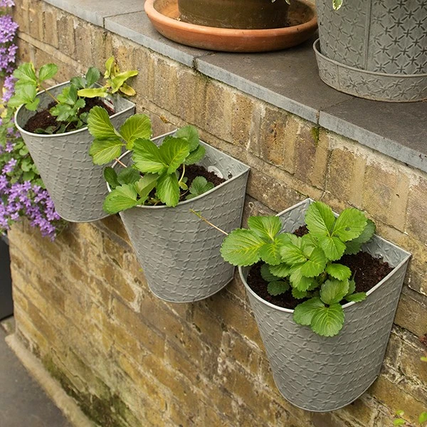 Embossed Wall Planters Antique Zinc - Set Of 3 6 Embossed Wall Planters Antique Zinc - Set Of 3 - Image 4