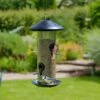 Stainless Steel Seed Feeder 1 Stainless Steel Seed Feeder -KANG Plants Shop pr2000033897
