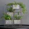 Plant Tower -KANG Plants Shop pr2000033922