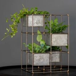 Plant Tower 9 Plant Tower -KANG Plants Shop pr2000033922 card2 lg