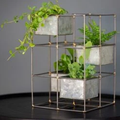 Plant Tower 11 Plant Tower -KANG Plants Shop pr2000033922 card4 lg