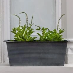 Plant Trough - Aged Zinc -KANG Plants Shop pr2000033930 card3 lg