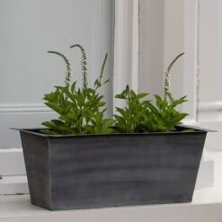 Plant Trough - Aged Zinc -KANG Plants Shop pr2000033930 card4 lg