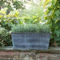 Plant Trough - Aged Zinc -KANG Plants Shop pr2000033930 card5 lg
