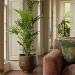 Aluminium Urb Pot - Dark Rust -KANG Plants Shop pr2000033936 card2 lg