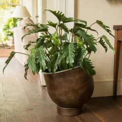 Aluminium Urb Pot - Dark Rust -KANG Plants Shop pr2000033936 card3 lg