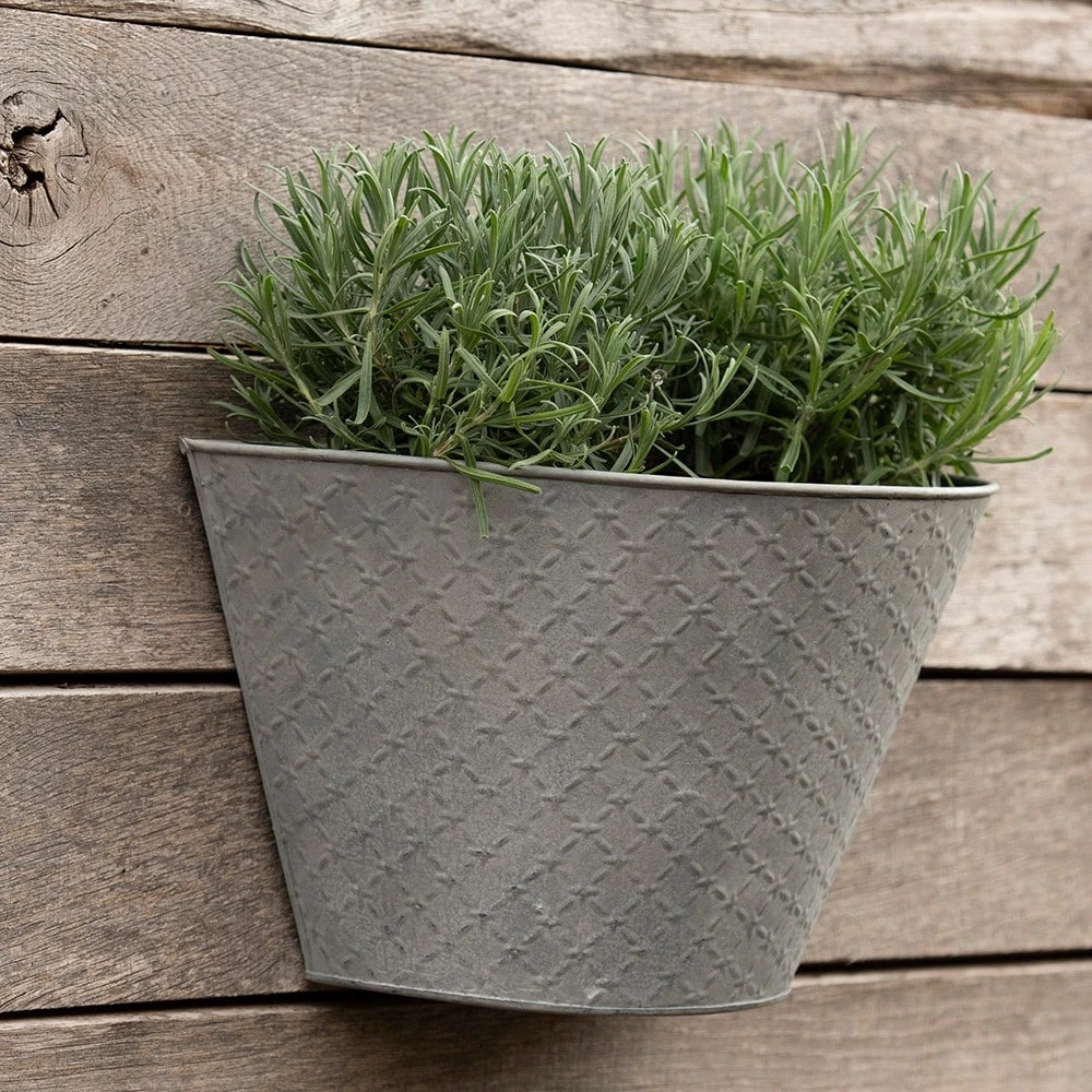 Aged Embossed Wall Planter - Aged Zinc 6 Aged Embossed Wall Planter - Aged Zinc - Image 4