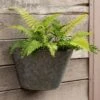 Galvanised Wall Planter -KANG Plants Shop pr2000033943