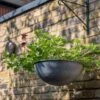 Hanging Bowl - Aged Zinc 1 Hanging Bowl - Aged Zinc -KANG Plants Shop pr2000033957