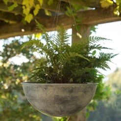 Hanging Bowl - Aged Zinc -KANG Plants Shop pr2000033957 card3 lg