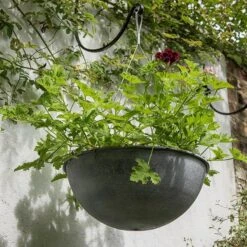 Hanging Bowl - Aged Zinc -KANG Plants Shop pr2000033957 card4 lg
