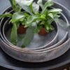 Pot Trays Aged Zinc - Set Of 3 2 Pot Trays Aged Zinc - Set Of 3 -KANG Plants Shop pr2000033959
