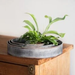 Pot Trays Aged Zinc - Set Of 3 -KANG Plants Shop pr2000033959 card2 lg