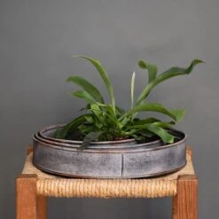 Pot Trays Aged Zinc - Set Of 3 -KANG Plants Shop pr2000033959 card3 lg