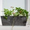 Dark Galvanised Window Trough -KANG Plants Shop pr2000033966