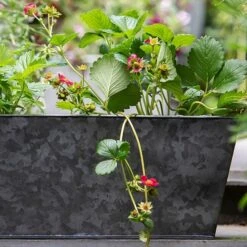 Dark Galvanised Window Trough 13 Dark Galvanised Window Trough -KANG Plants Shop pr2000033966 card5 lg