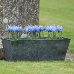 Dark Galvanised Window Trough 14 Dark Galvanised Window Trough -KANG Plants Shop pr2000033966 card6 lg