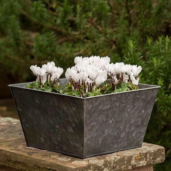Dark Galvanised Square Planter 4 Dark Galvanised Square Planter - Image 2